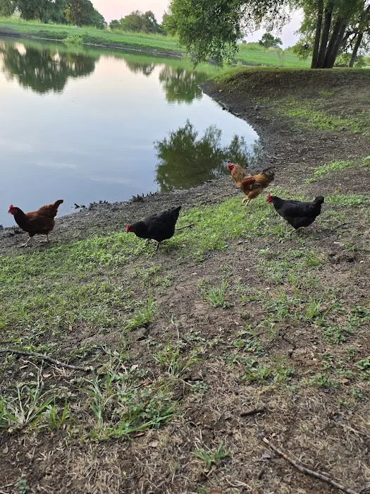 Stone Cross Ranch RV Park 9