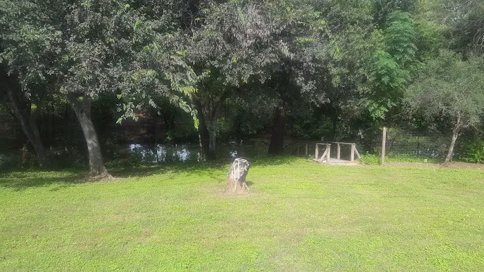 Zipp RV Park 9