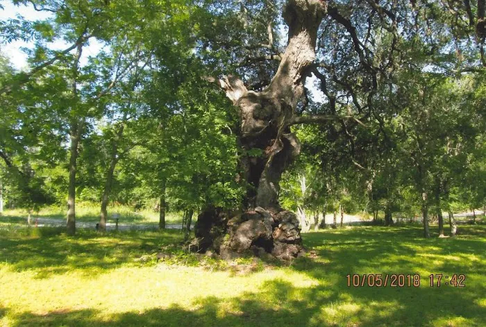 York Creek RV Park 6
