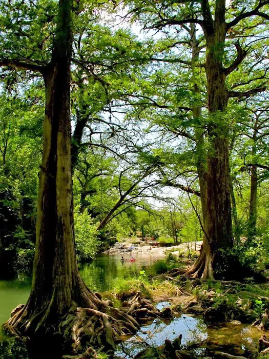 Krause Springs 5