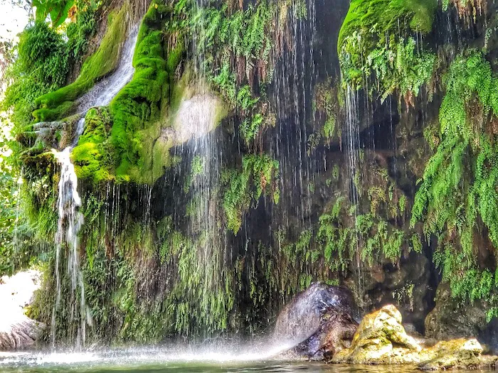 Krause Springs 7