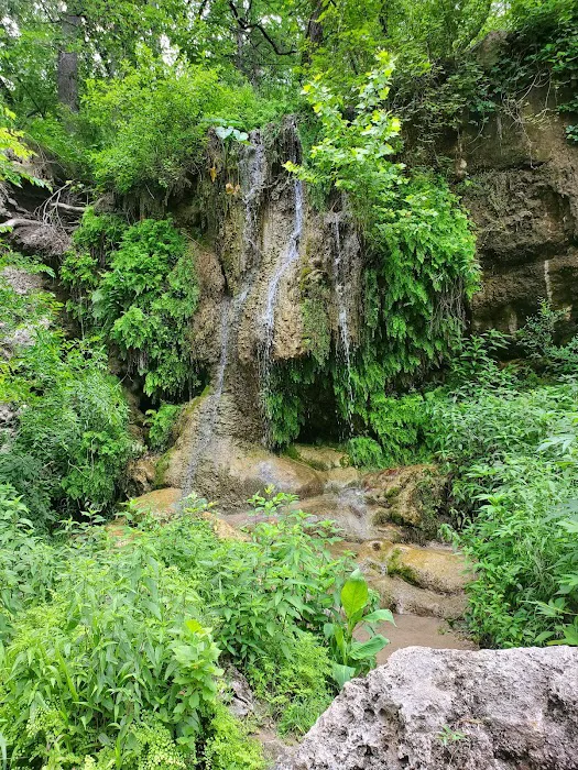 Krause Springs 10