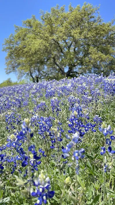 Marble Falls RV Park 1