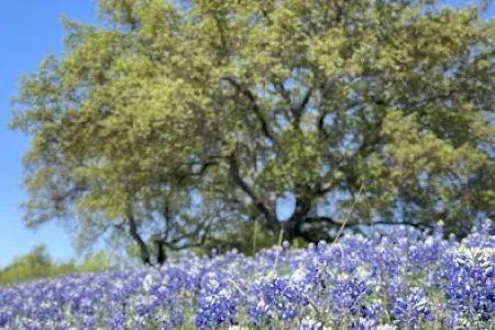 Marble Falls RV Park