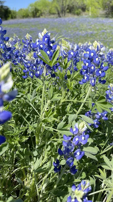 Marble Falls RV Park 5