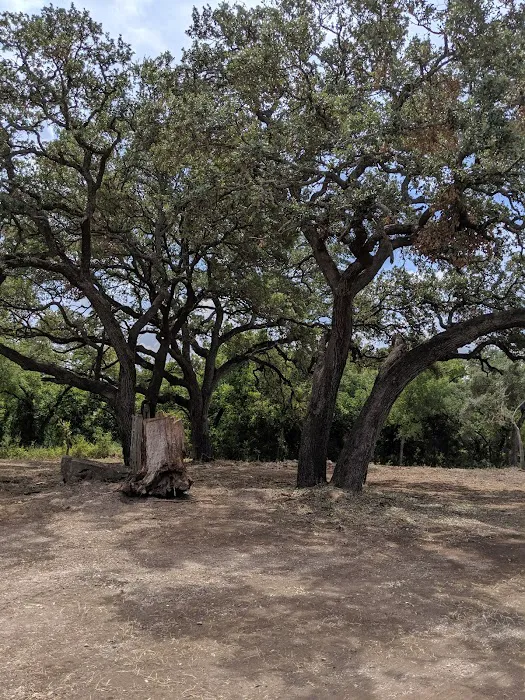 6 Oaks Tiny Home (and RV Park) 4
