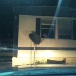 Spanish Oak Mobile Home Park