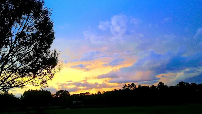 Little River RV Campground 2