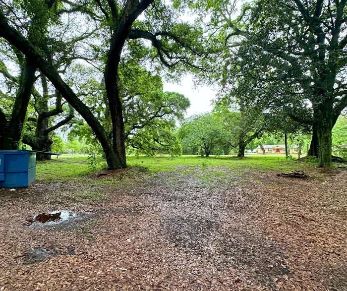 Shady Oaks 2