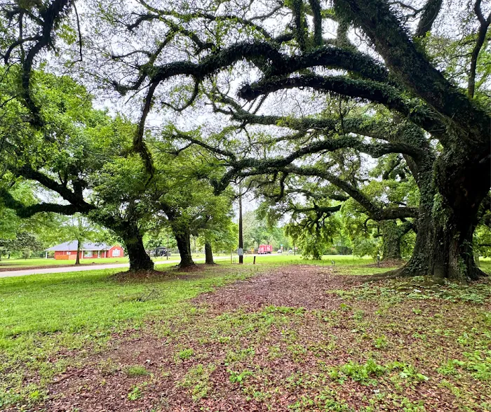 Shady Oaks 5