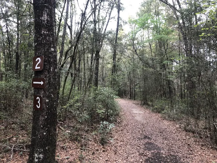 Campsite #3 3