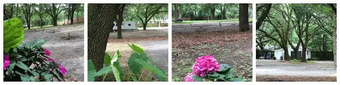 Whispering Oaks RV Park Mobile AL (Tillman's Corner/Theodore) 7