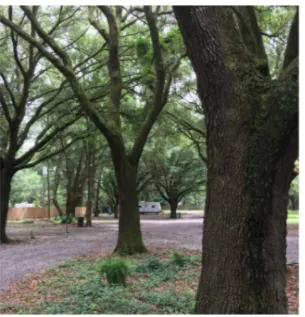 Whispering Oaks RV Park Mobile AL (Tillman's Corner/Theodore) 8
