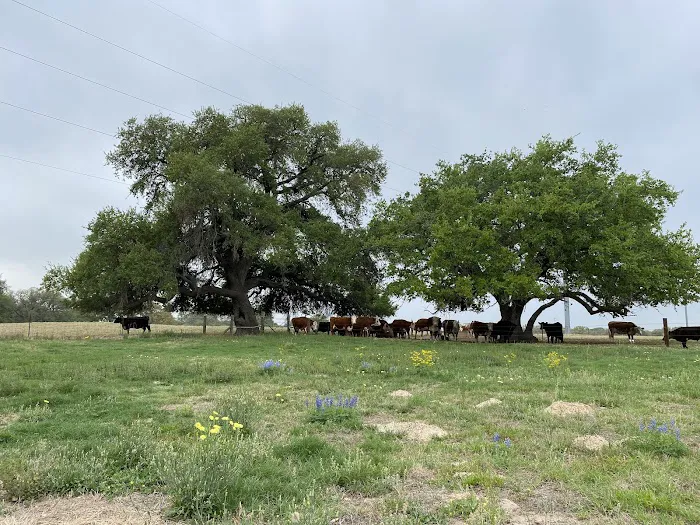 Eagle's Nest RV Park 9