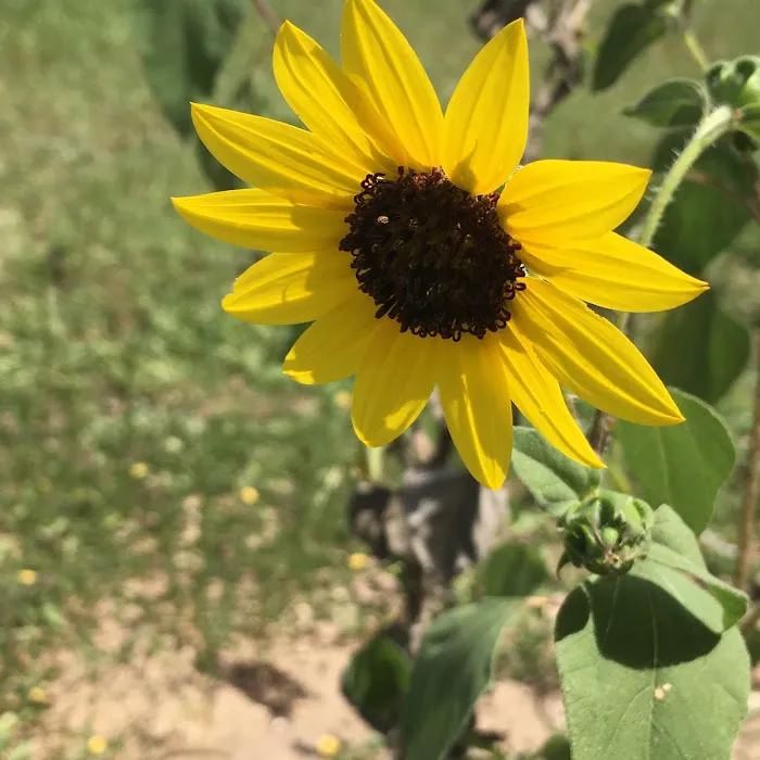 Jerico Ranch Rv Park 2