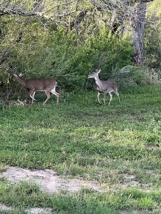 Jerico Ranch Rv Park 5