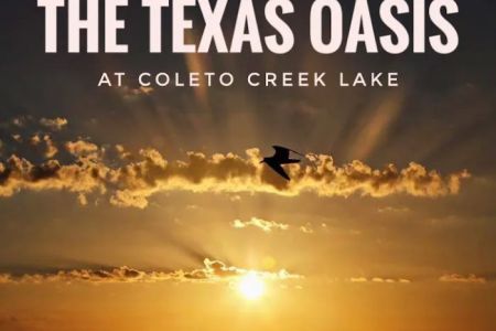 The Texas Oasis RV Park and Campground