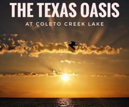 The Texas Oasis RV Park and Campground
