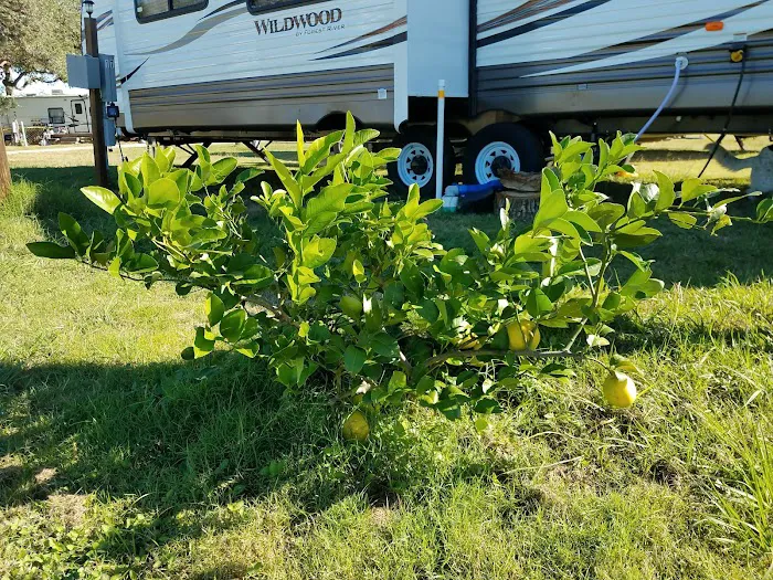 The Texas Oasis RV Park and Campground 9