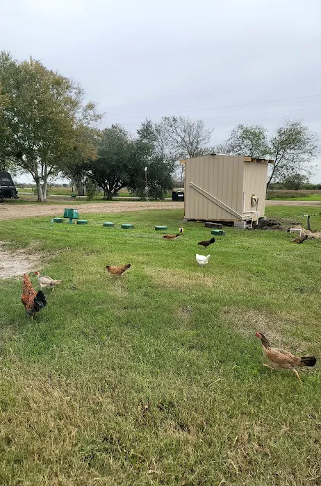 Call of Country RV Park 6