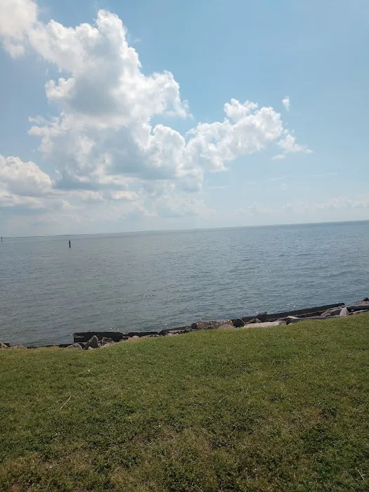 Sanddollar RV Park 4
