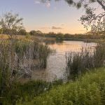 Vista Ridge RV Park