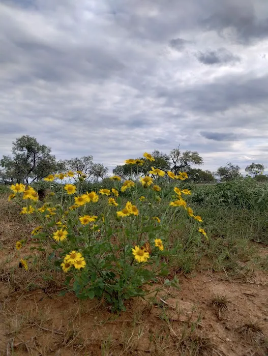 Vista Ridge RV Park 3