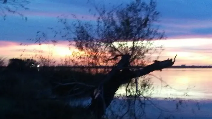 Cactus Country RV Park 10