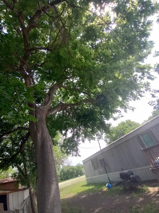 Shady Acre Mobile Home Park 1