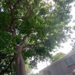 Shady Acre Mobile Home Park