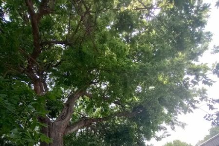 Shady Acre Mobile Home Park