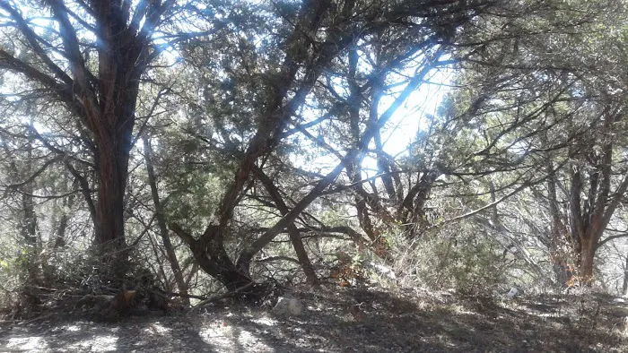 Covenant Canyon RV Park 1