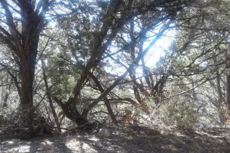 Covenant Canyon RV Park
