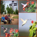 Sherwood Forest RV Park