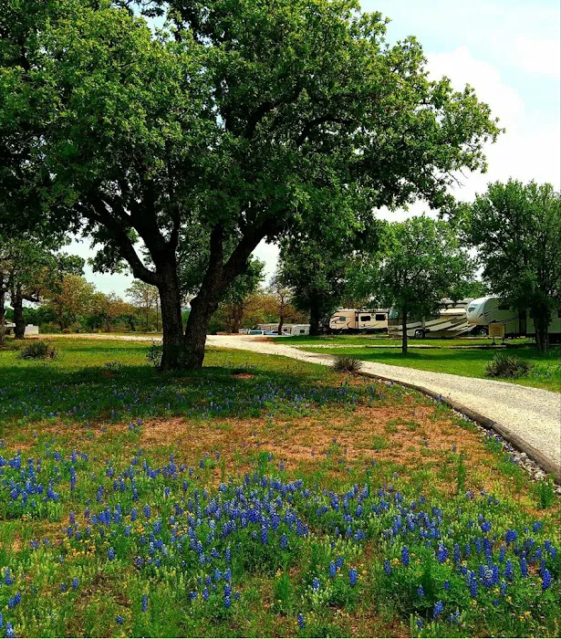 Wood Forest RV Park 2