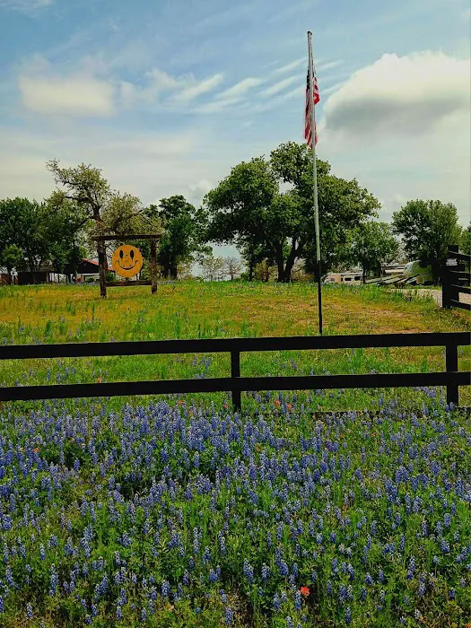 Wood Forest RV Park 3