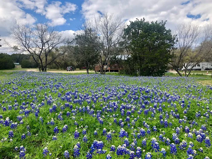 Hill Country Lakes RV Campground 6