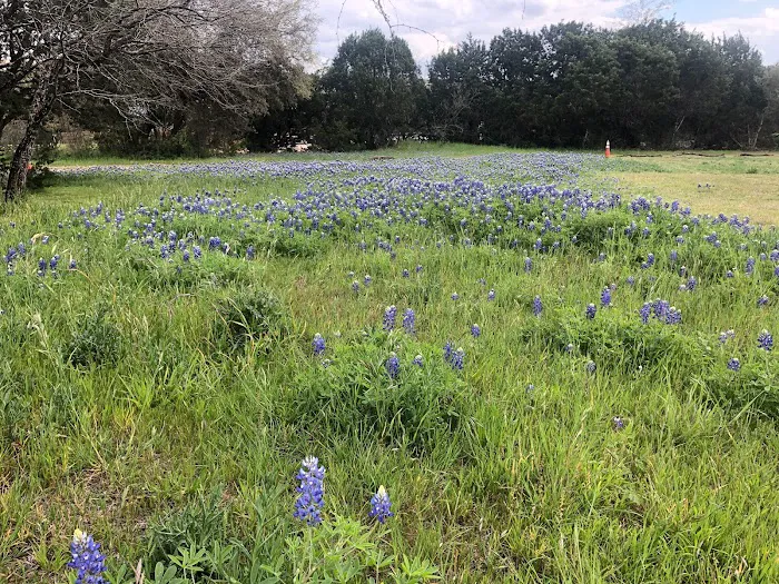 Hill Country Lakes RV Campground 8