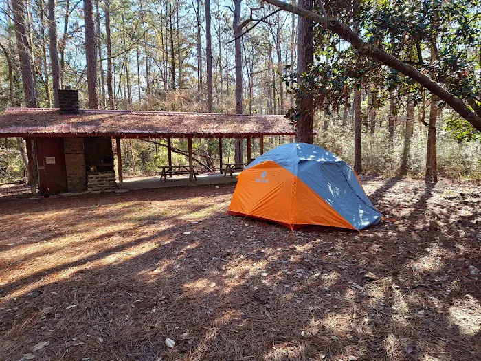 Scoutshire Woods 2