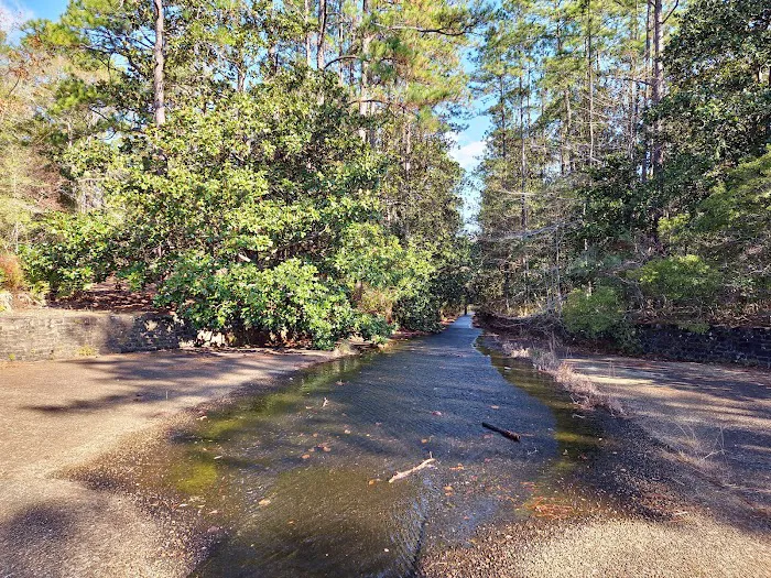 Scoutshire Woods 6