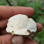 Turveys RV Park & self storage llc