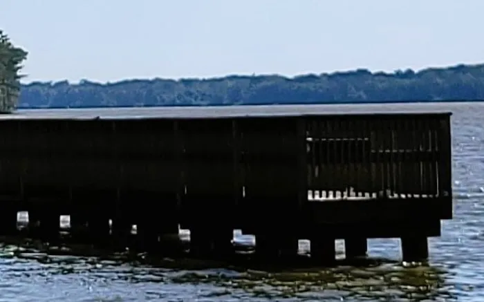 Tensaw River Park 10