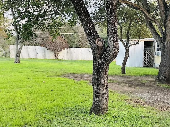 Lake Calaveras Mobile Home Park / RV Community 7