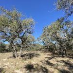 Aranama RV Park of Goliad