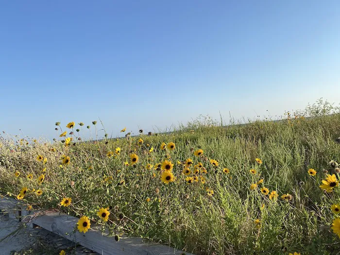 Galveston Island State Park Campgrounds 4
