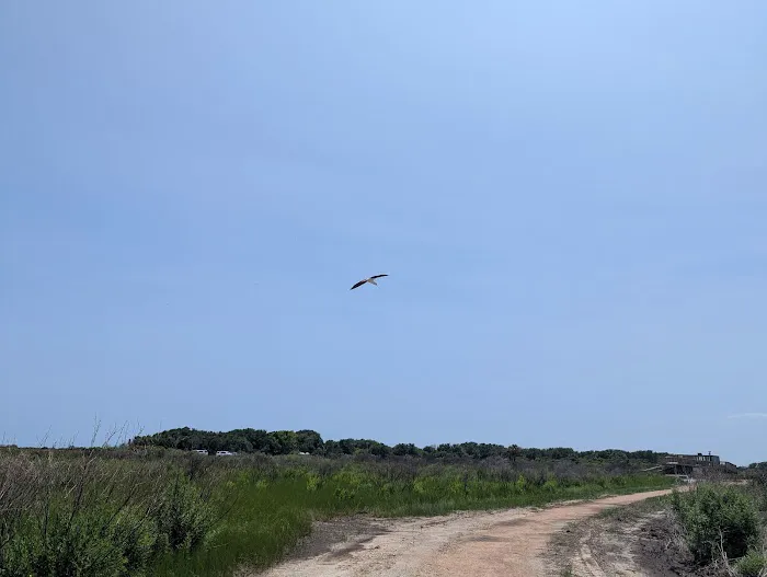 Galveston Island State Park Campgrounds 8