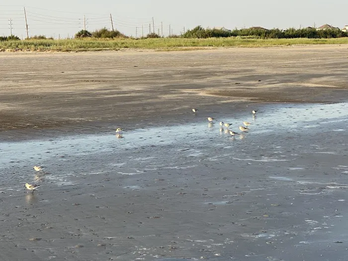 Galveston Island State Park Campgrounds 7