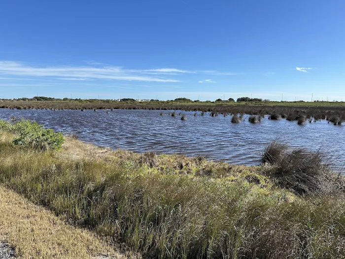 Galveston Island State Park Campgrounds 10