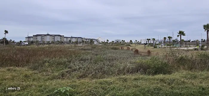 Galveston Island RV Park 5