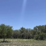 The Oaks at Waterwood